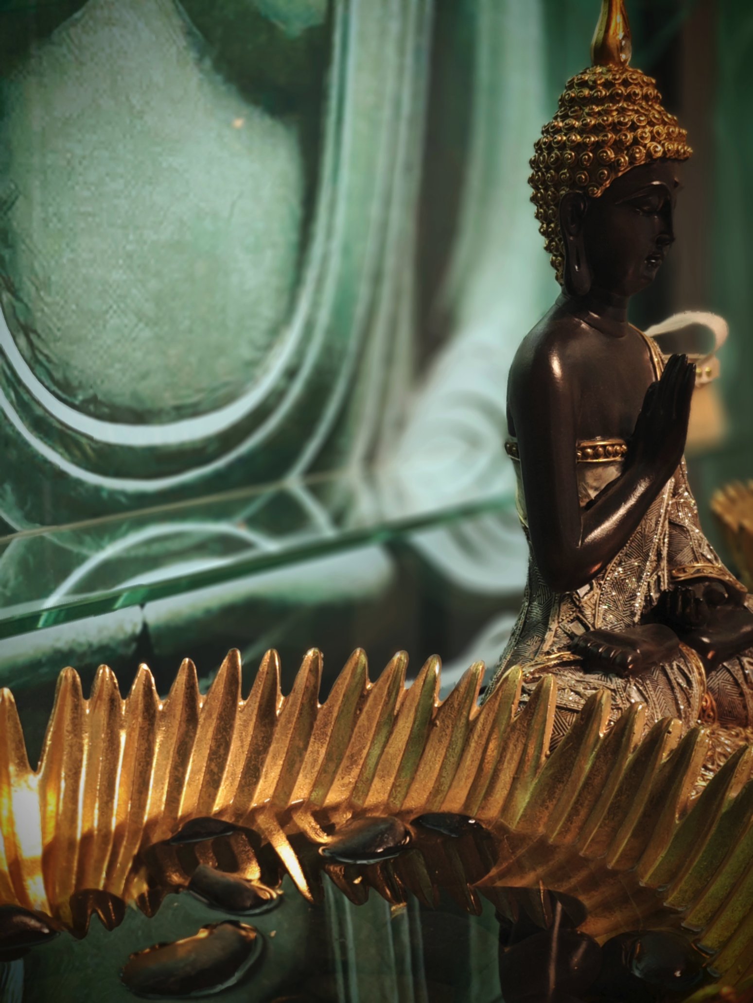 salon-belleza-spa-hellin (27)