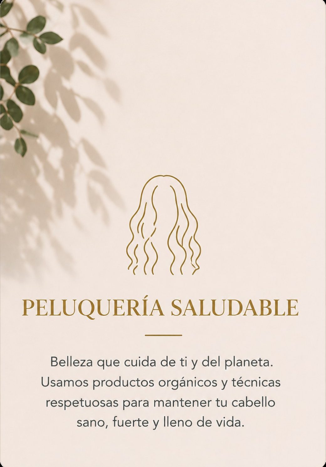 peluqueria-saludable-hellin1